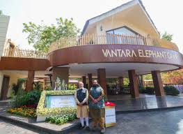 UN Wildlife Body Drops Call to Curb India’s Animal Imports After Ambani Zoo Review