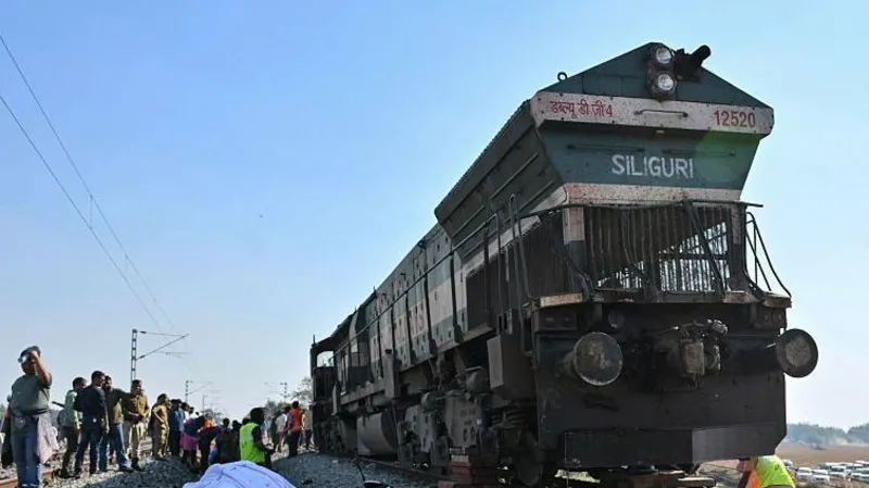 India Train Crash in Assam Kills Seven Elephants, Calf Injured