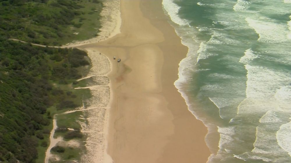 Canadian Backpacker, 19, Found Dead Surrounded by Dingoes on K’gari