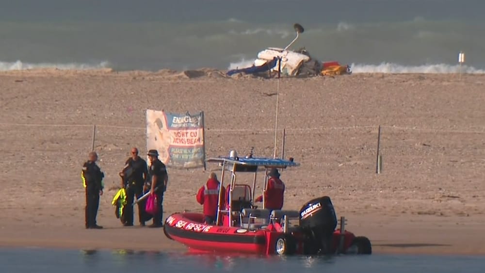 Plane Crash in Southern Australia Kills Experienced Pilot and Two Teenagers