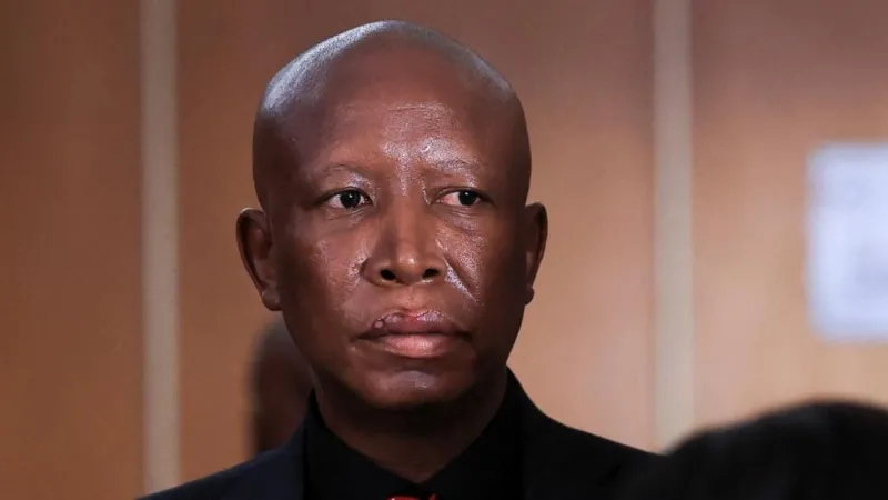 Malema Sentenced, But Walks Free Pending Appeal