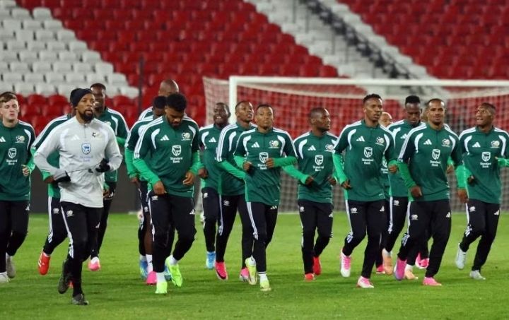 Is Bafana Bafana Ready for the World Cup Battle Ahead?